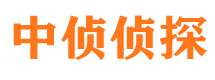 金城江市私家侦探